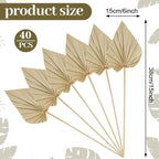 Chenkaiyang 40 Pcs Boho Dried Palm Spears Leaves Bulk, Small Natural Dried Real Palm Fans,Dried Palm Leaves With Stem Dried Leaf