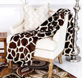 Home Must Haves Ultra Soft Micro Plush Flannel Blanket Luxurious Flannel Fur All Season Premium Warm Cozy Bed Sofa Couch Picnic