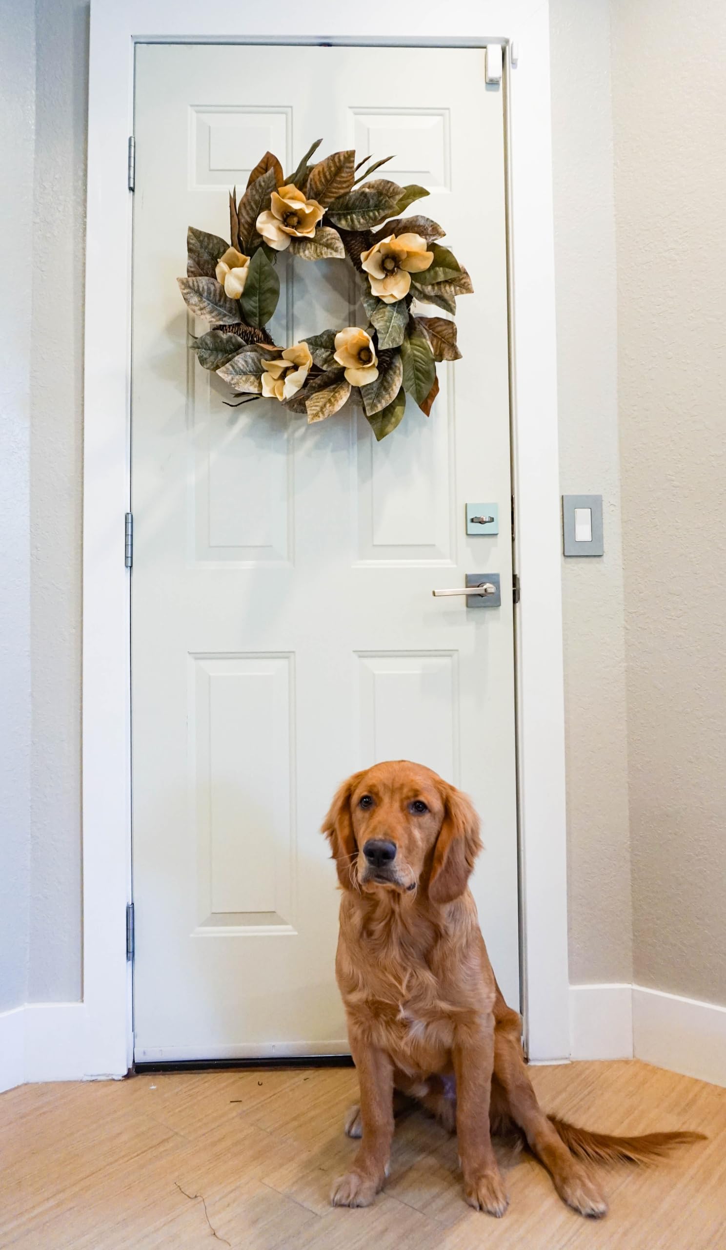 Admired By Nature 24' Magnolia Pine For Home Office Front Door Wreath, Wall Hanging Arrangement Decoration