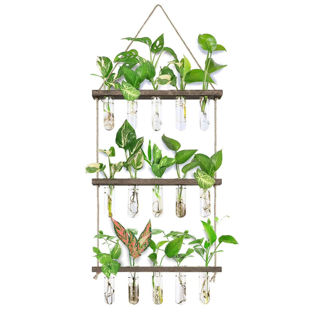 Xxxflower Wall Hanging Propagation Station With Wooden Stand 5 Glass Test Tubes 3 Tiered Planters Wall Terrarium For Home Office