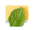 Ceramic Sponge Holder Green Leaf Kitchen Sink Caddy Dish Scrubber Stand