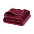 Piccocasa Flannel Fleece Blanket Soft Lightweight Warm Fuzzy Blanket For All-Seasons, Luxury Comfy Decorative For Couch Living R