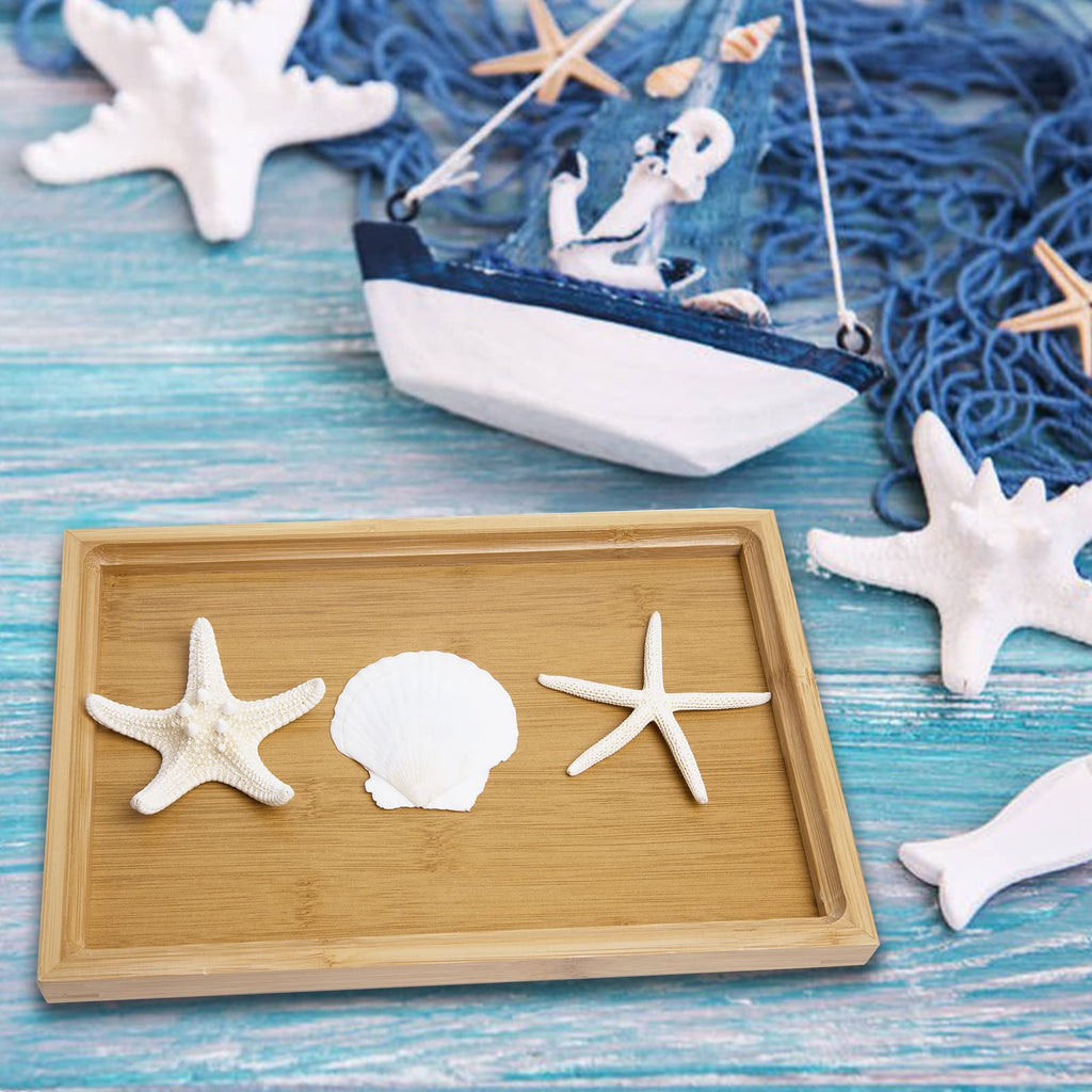Jqaqju Starfish And Scallop Shells For Crafts 12Pcs, Large Seashells 3''-4'' Bulk Sea Shells For Decor Kids Beach Theme Party Pa