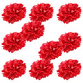 WYZworks Set of 10 - RED 10 - (10 Pack) Tissue Pom Poms Flower Party Decorations for Weddings, Valentine, Birthday, Lunar New Ye