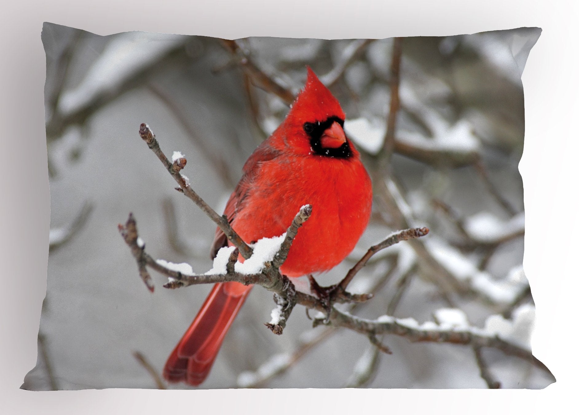 Lunarable Cardinal Pillow Sham, Northern American Mountain Bird On A Branch Covered In Snow Animal Photography, Decorative Stand