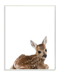 Stupell Home D  cor Baby Fawn Studio Photo Wall Plaque Art, 10 x 0.5 x 15, Proudly Made in USA