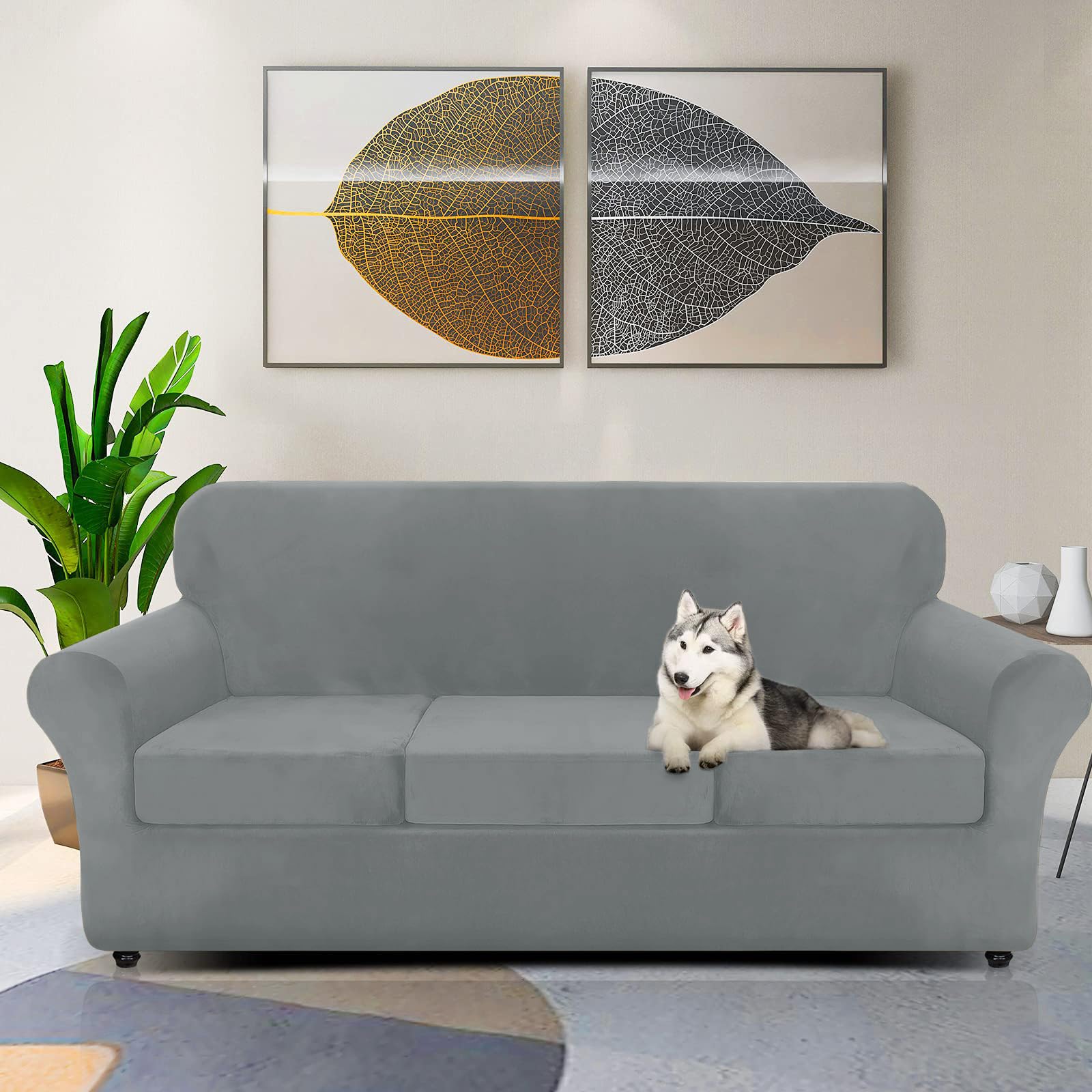 Znsayotx Luxury Velvet Couch Cover 4 Piece Stretch Sofa Covers For 3 Cushion Couch Thick Soft Spandex Sofa Slipcover Living Room Anti Slip Dogs Furniture Protector (Light Grey), 71'-91'(3 Cushions)