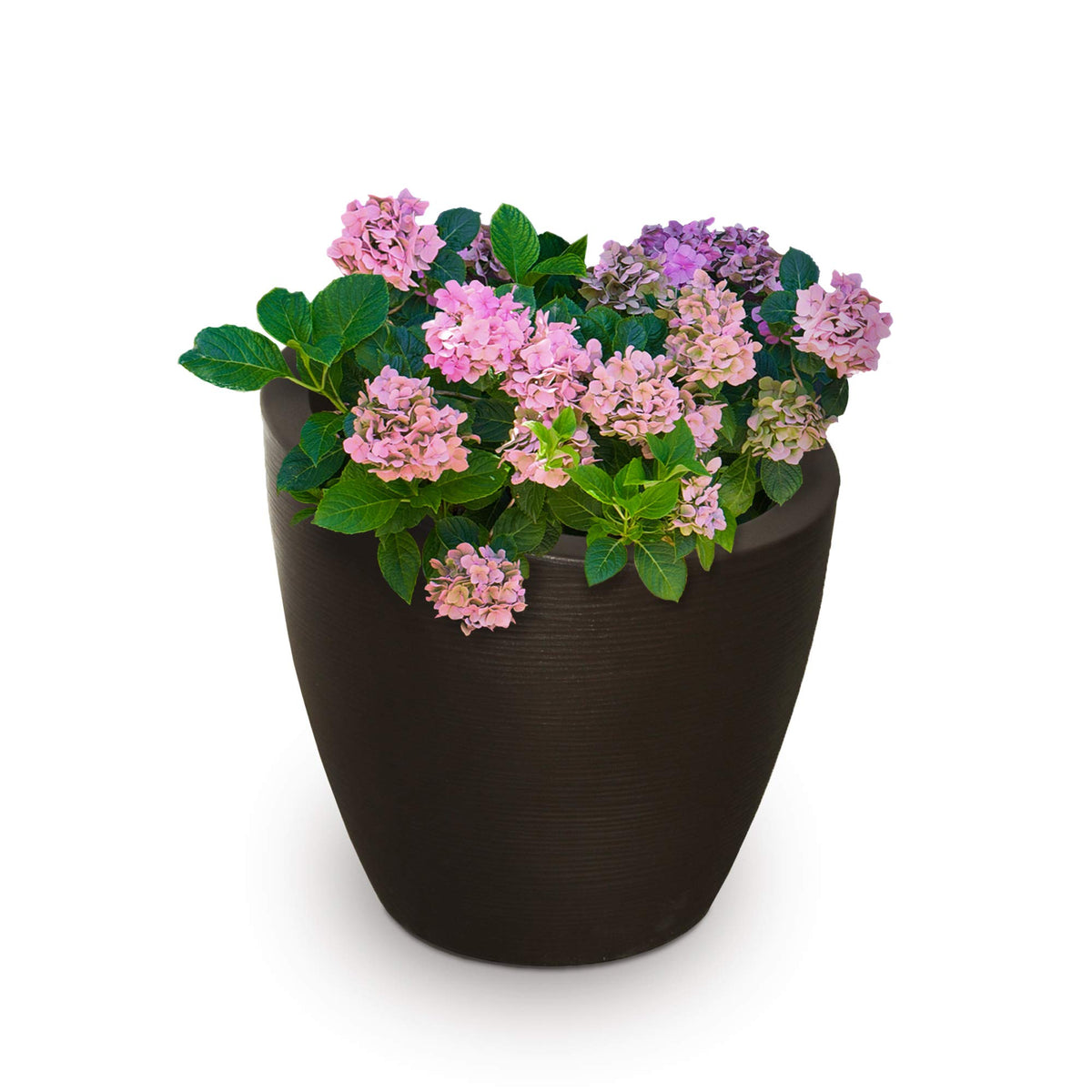 Mayne Modesto 20In Round Planter - Espresso (8879-Es)