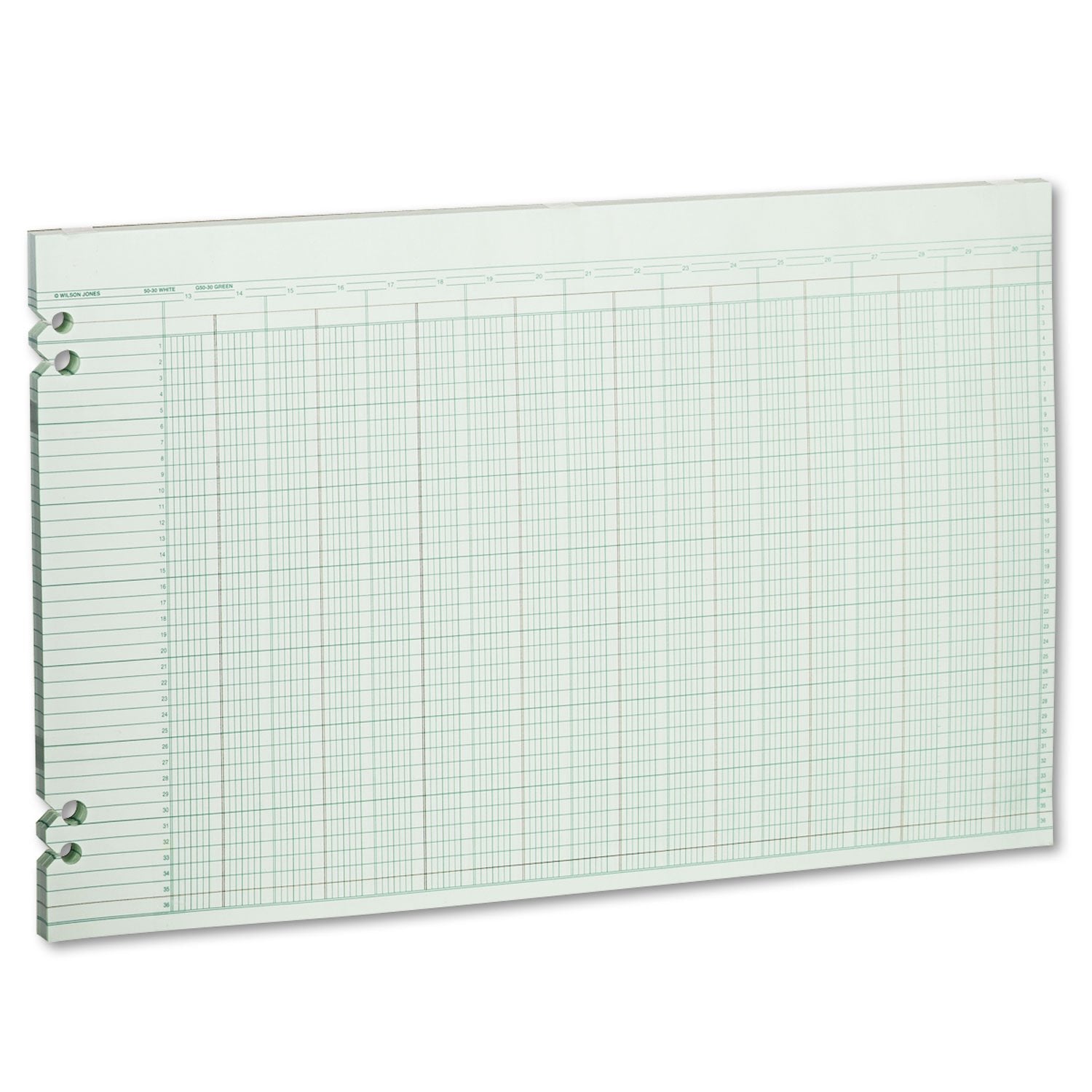 Wljg5030 - Wilson Jones Accounting Sheets