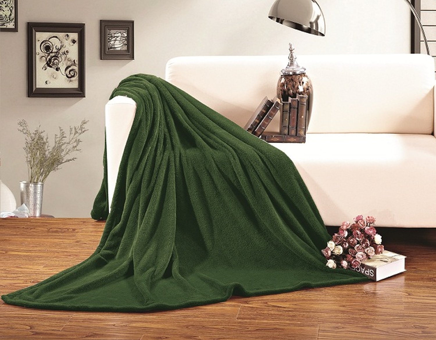 Elegant Comfort Luxury Velvety Softness Fuzzy Plush Micro-Velour Ultra-Soft Blanket, Full/Queen, Green