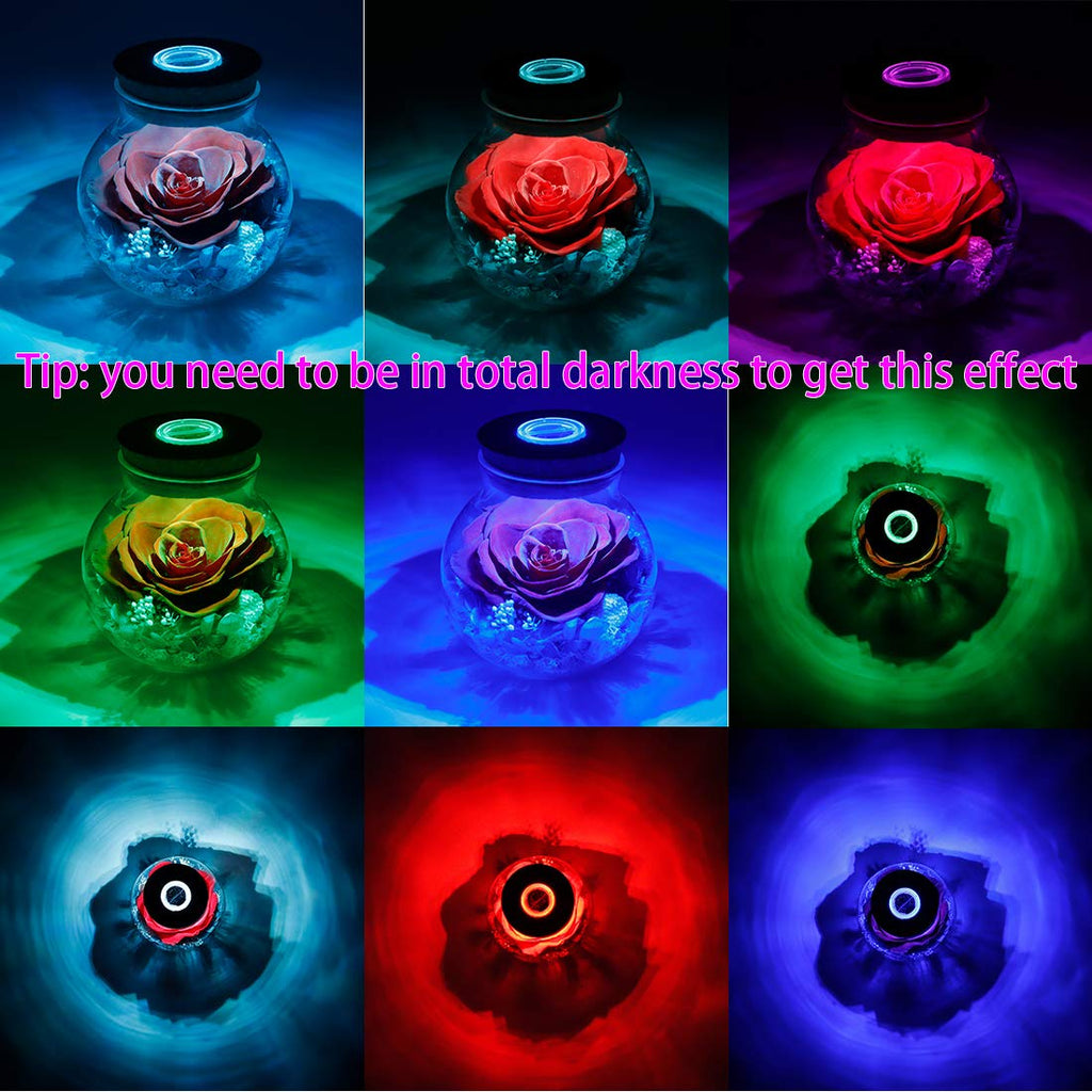 Roliys Preserved Real Roses With Colorful Mood Light Wishing Bottle, Eternal Rose,Never Withered Flowers, Table Decor,Christmas