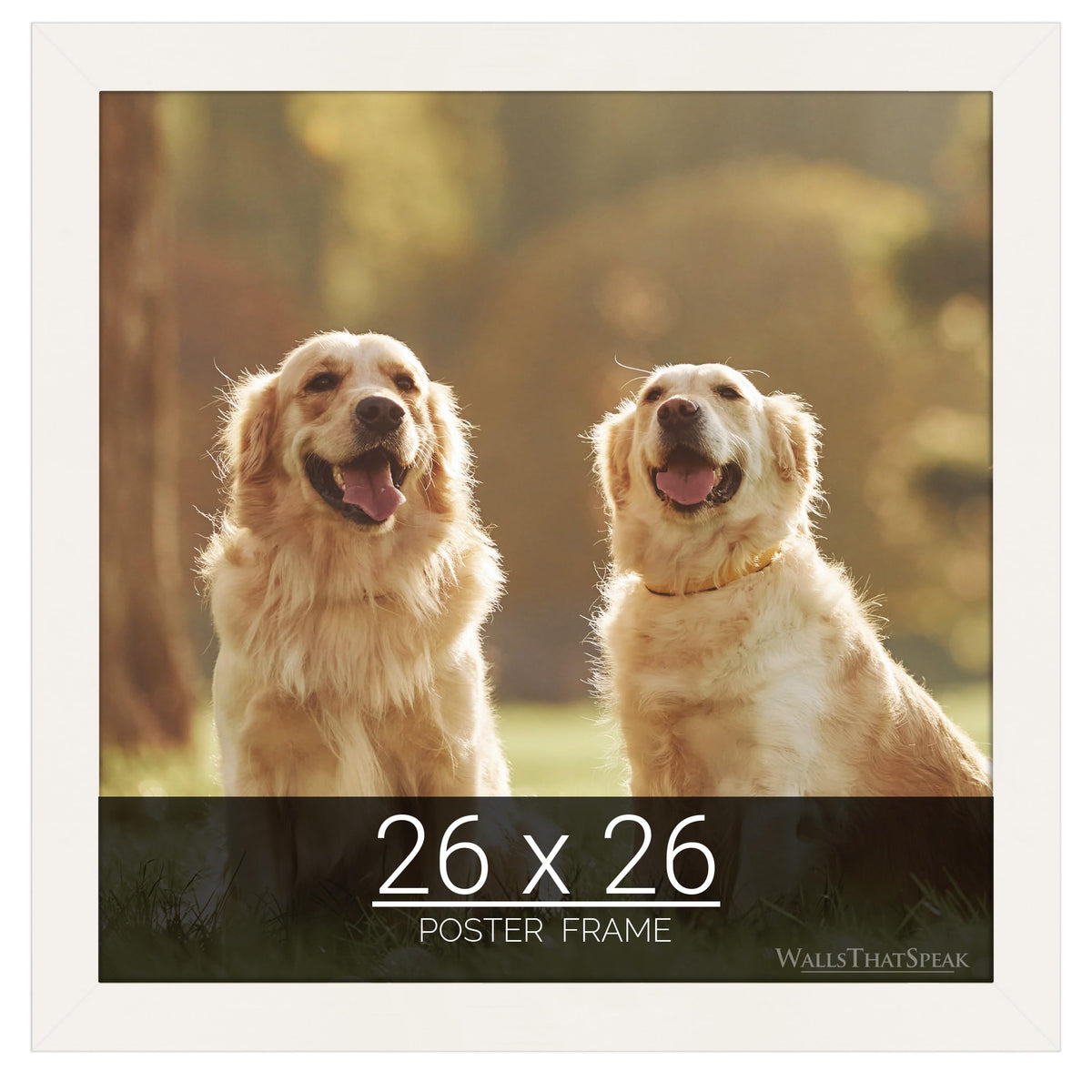 wallsthatspeak 26x26 white Picture Frame for Puzzles Posters Photos or Artwork