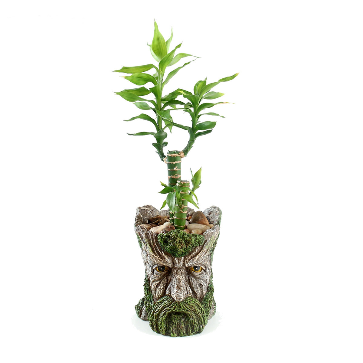 Youfui Funny Planter Head Planter With Drainage Hole Resin Plant Pot Pencil Holder Desk Storage(Mustache Man)