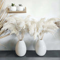 30 Stems 28' Inch Large White Pampas Grass Fluffy, Boho Home Decor, Natural Fluffy Pompas Grass Pampas For Living Room Decor, T