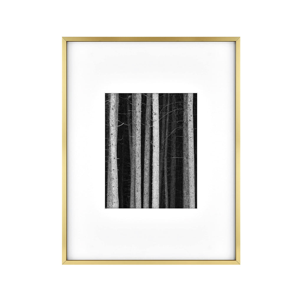 MCS Master & Co. Foundry Metal Gallery Wall Frame, Brass, 14 x 18 in matted to 8 x 10 in