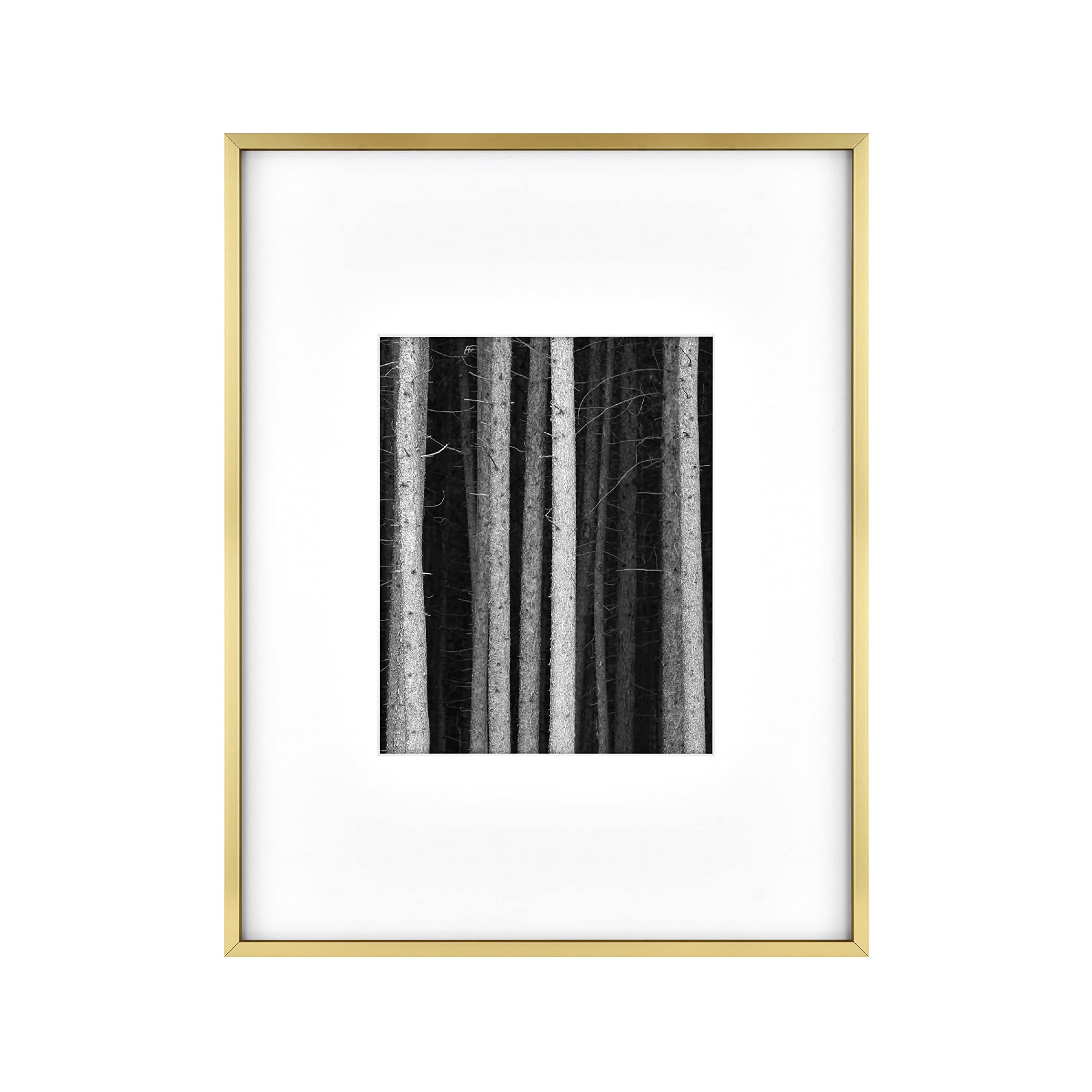 MCS Master & Co. Foundry Metal Gallery Wall Frame, Brass, 14 x 18 in matted to 8 x 10 in