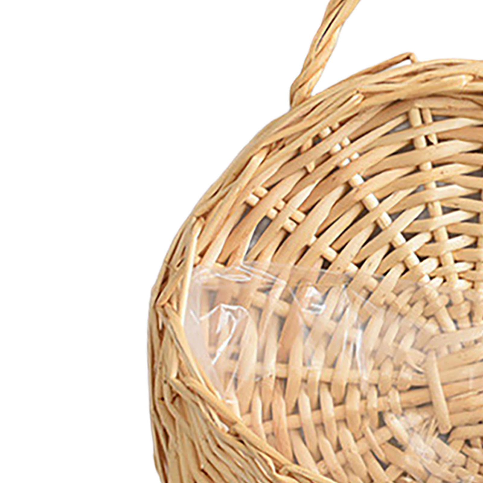 Merishopp Wall Hanging Basket Plants Holder Wall Decor Planter For Home Balcony Garden Diameter 18Cm