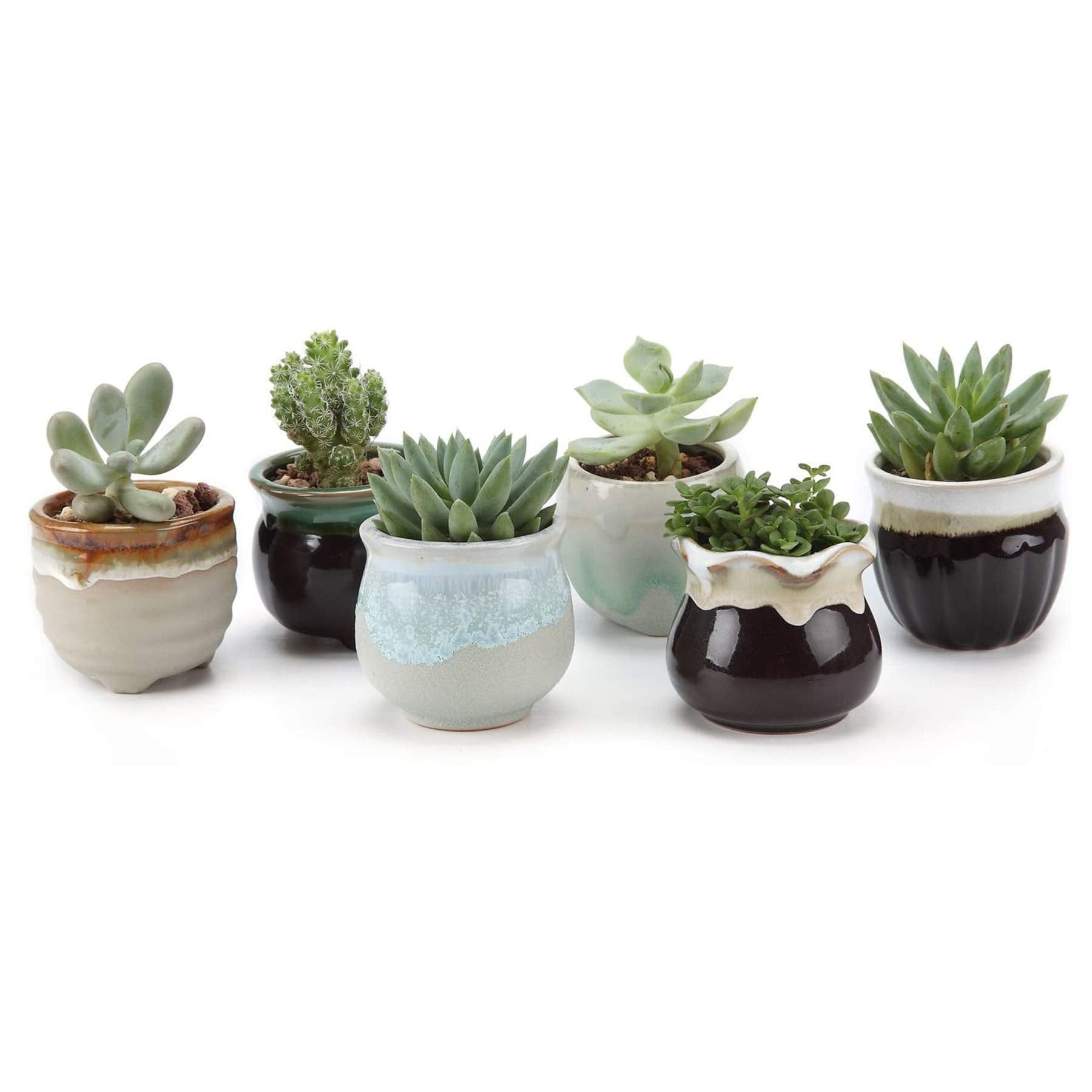 T4U Small Ceramic Succulent Pots With Drainage Set Of 6, Mini Pots For Plants, Tiny Porcelain Planter, Air Plant Flower Pots Cac