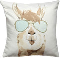 Fab Habitat Indoor/Outdoor Throw Pillow Made From Recycled Polyester Yarn - Stain Resistant, Machine Washable, Insert Included -