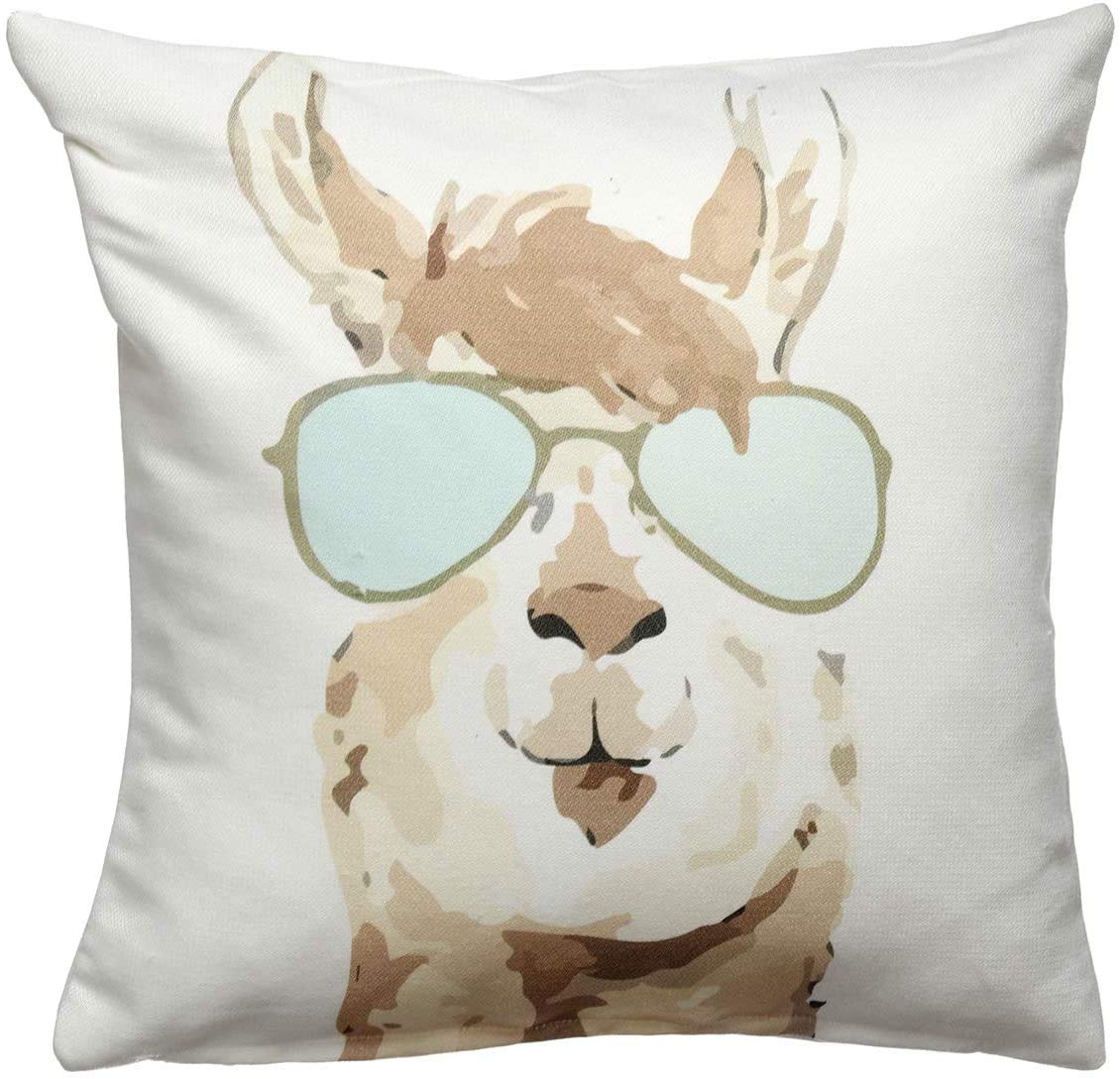Fab Habitat Indoor/Outdoor Throw Pillow Made From Recycled Polyester Yarn - Stain Resistant, Machine Washable, Insert Included -