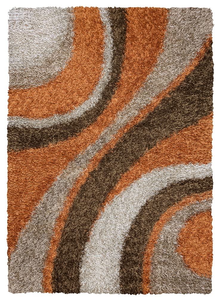 Rizzy Rugs Kempton Shag Brown Rug Rug Size: 8' X 10'