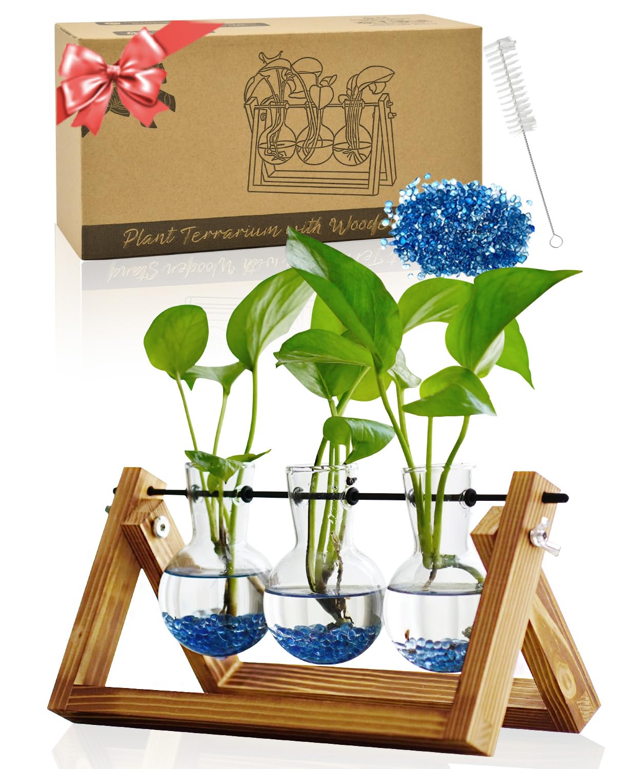 Nacome Plant Terrarium For Office Decor: Wooden Stand Tabletop Planter 3 Bulb Glass Vase Metal Swivel Holder For Hydroponics Hom