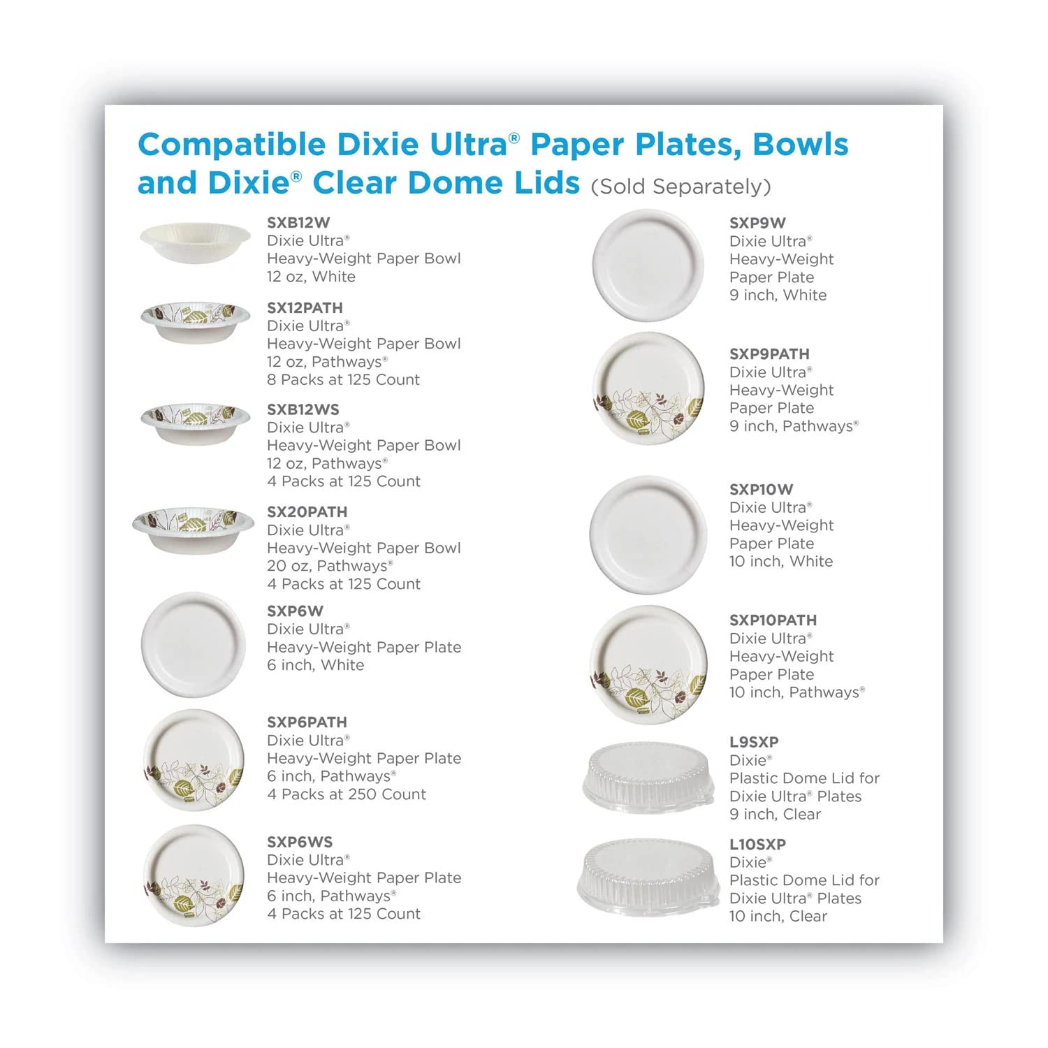 Dixie Pathways Table Ware, 10.13" Diameter, White