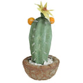 Northlight 12 Green Potted Southwestern Style Artificial Cactus Plant with Flowers