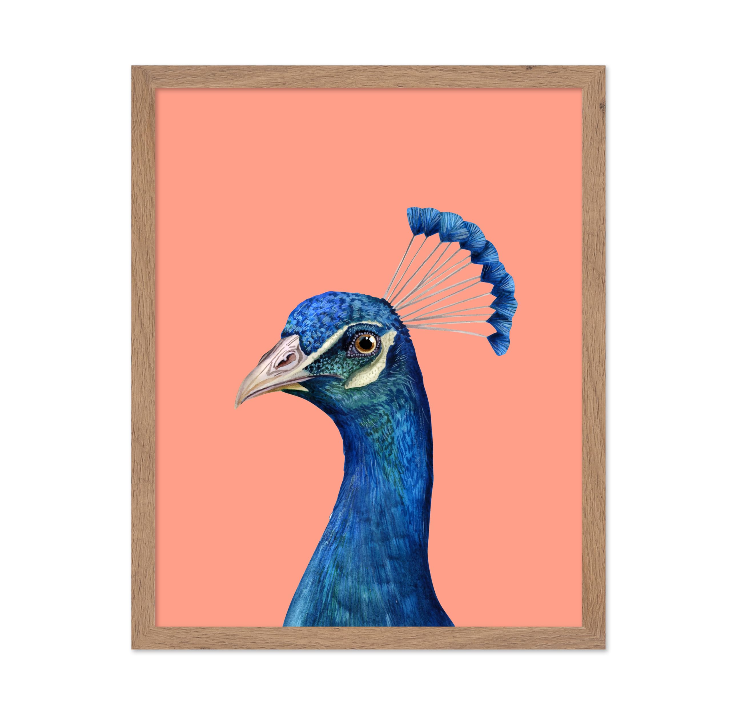 Poster Master Peacock Poster - Portrait Print - Bird Art - Trendy Art - Minimal Art - Gift for Men, Women & Animal Lover - Aesth
