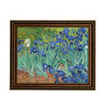 Eliteart-Irises in The Garden By Vincent Van Gogh Giclee Art Canvas Prints-Framed Size:27 3/5x34 3/5
