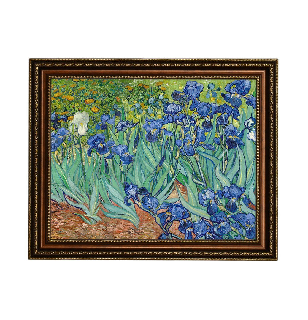 Eliteart-Irises in The Garden By Vincent Van Gogh Giclee Art Canvas Prints-Framed Size:27 3/5x34 3/5