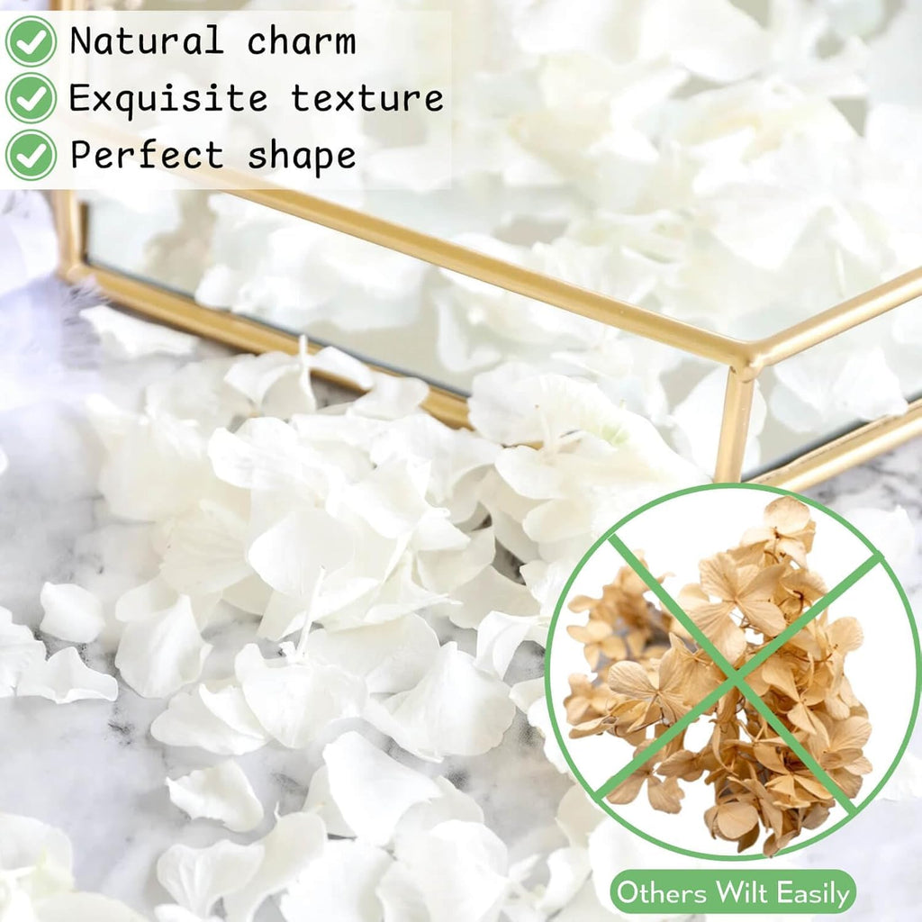 1500Pcs Dried Ivory White Hydrangea Flower Petals - 100% Natural Petals For Wedding, Party Confetti, Valentine'S Day, Flower Gir