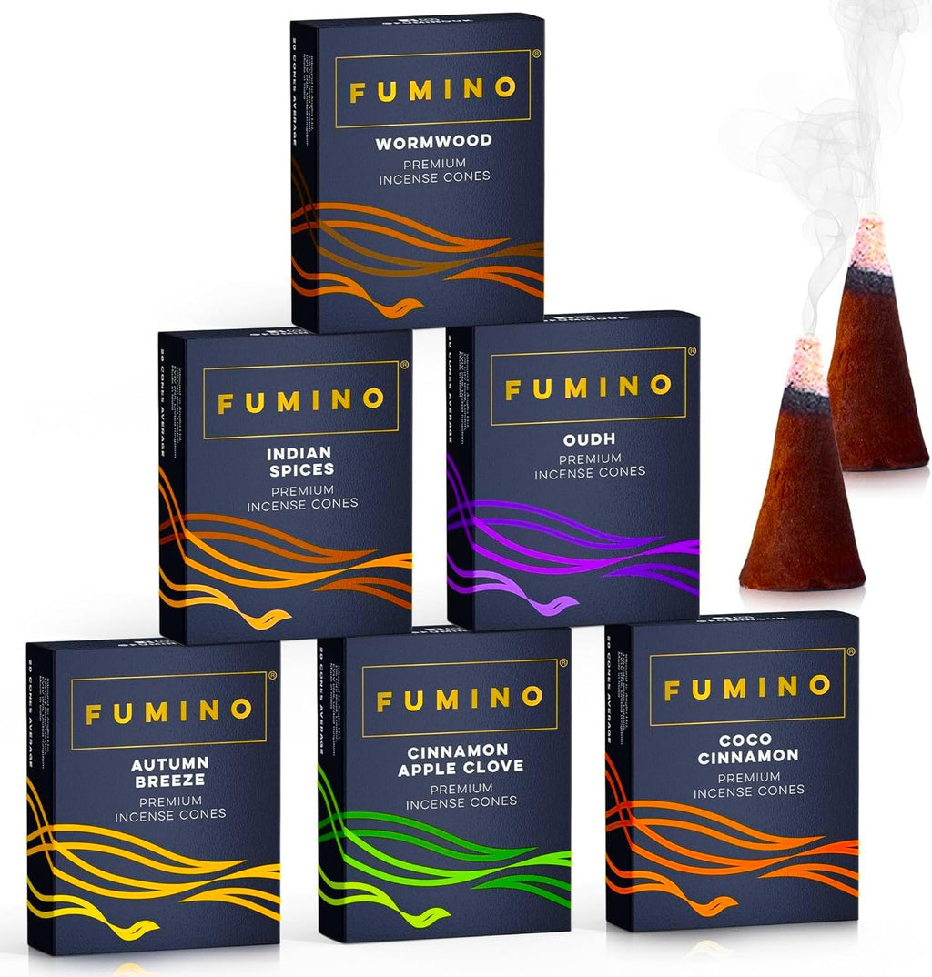 Fumino Fresh Incense Cones Multipack Fireside and Frost Bundle 6 Boxes 120 Cones Masala Agarbatti Joss Scent Fragrance for Relax