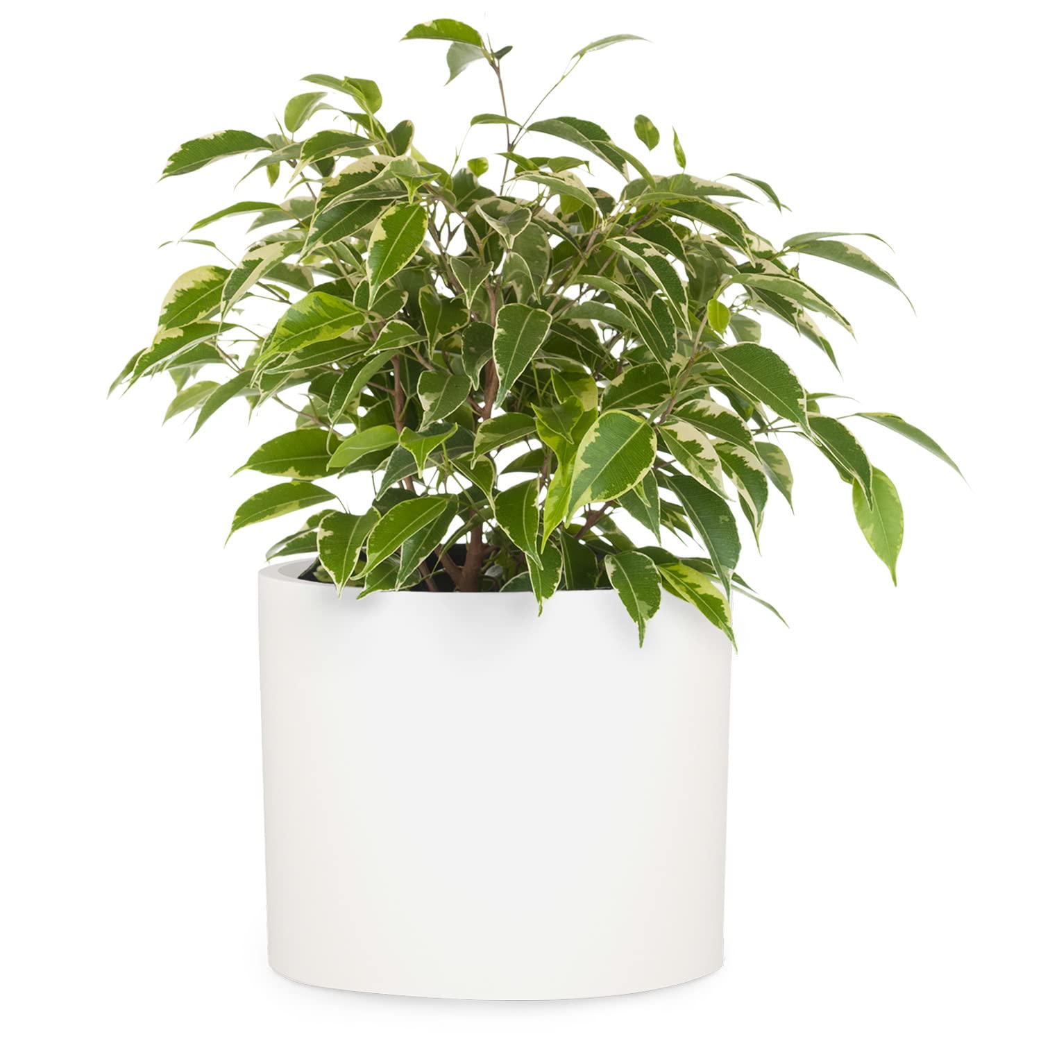 Fox & Fern Large 12 Inch Plant Pot - Premium Lightweight Fiberstone White Planter With Drainage Plug; Indoor & Outdoor; Fits F&F