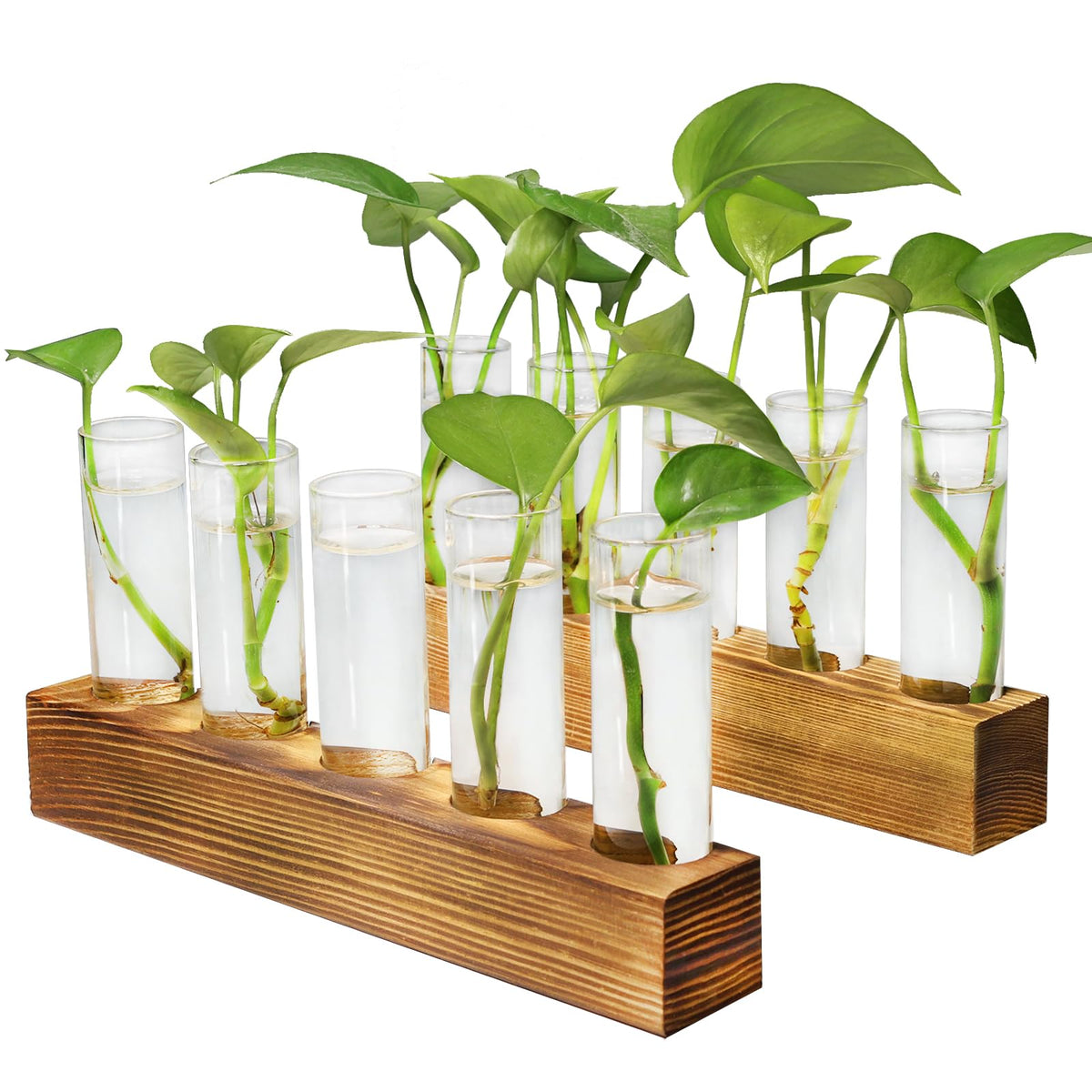 Renmxj Plant Propagation Station, Plant Terrarium With Wooden Stand For Hydroponics Plants Office Decor Unique Gardening Gifts F