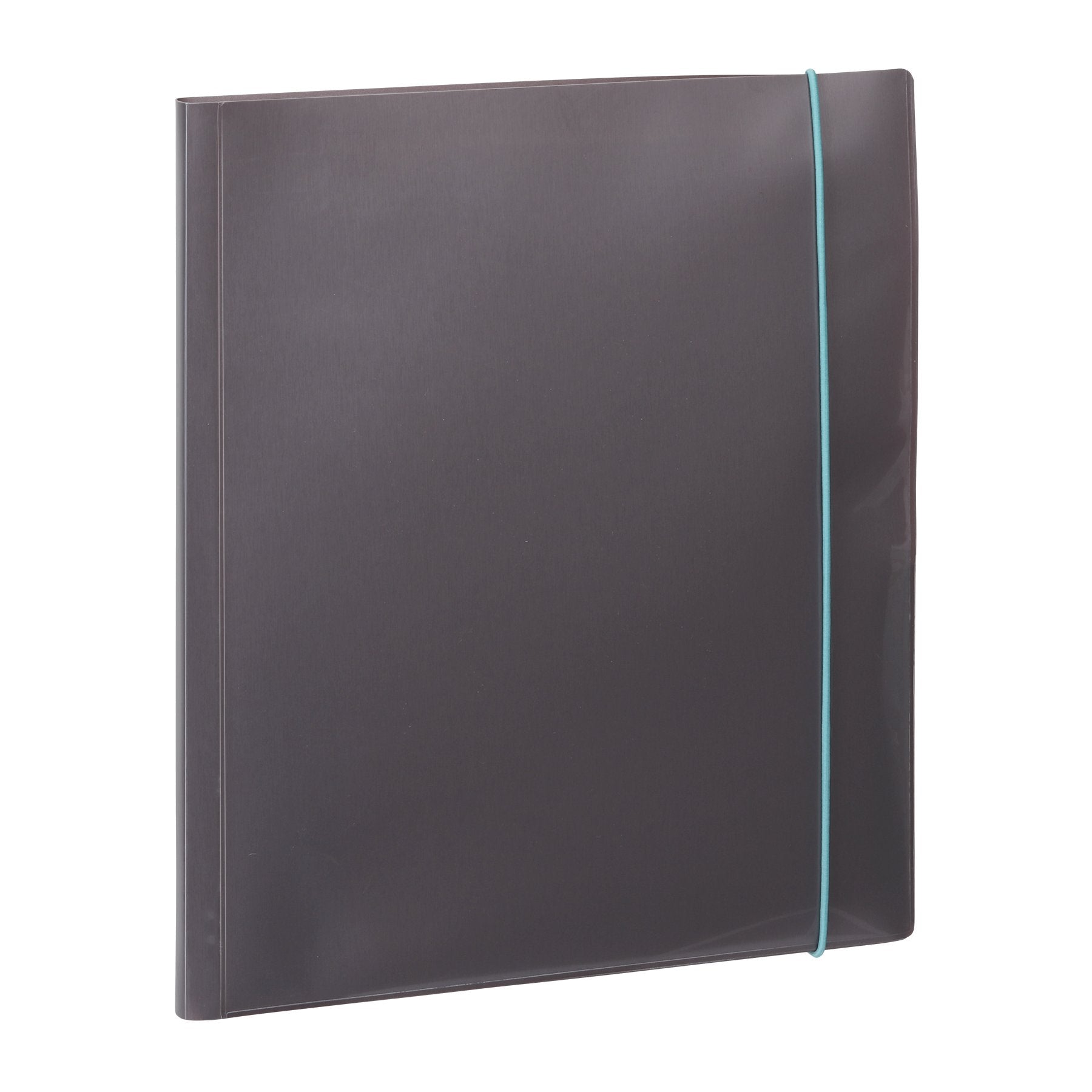 Pendaflex 10-Pocket Poly Organizer, Letter Size, Assorted Colors, No Color Choice (84029)