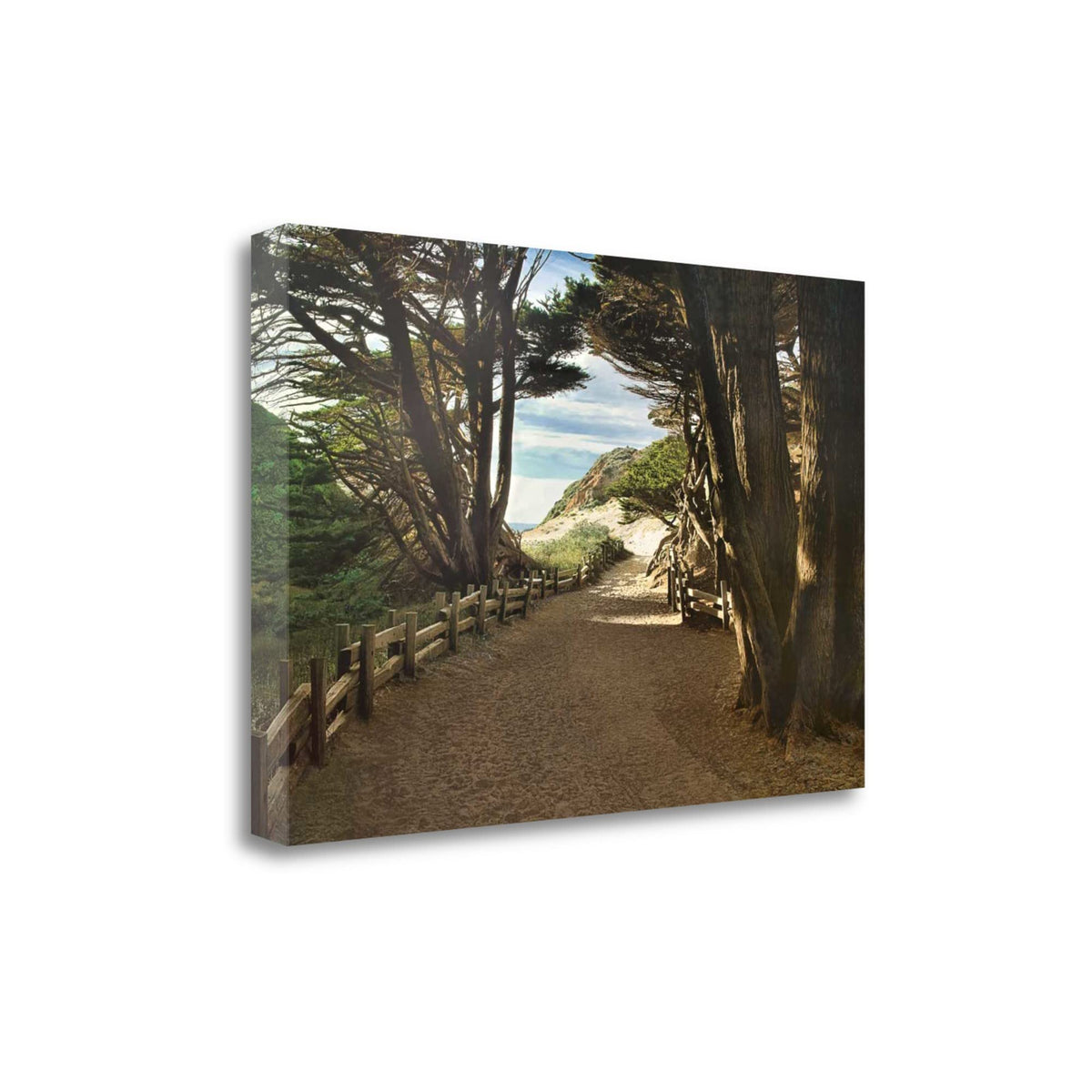 47' Forest Walk by the Beach Print on Gallery Wrap Canvas Wall Art