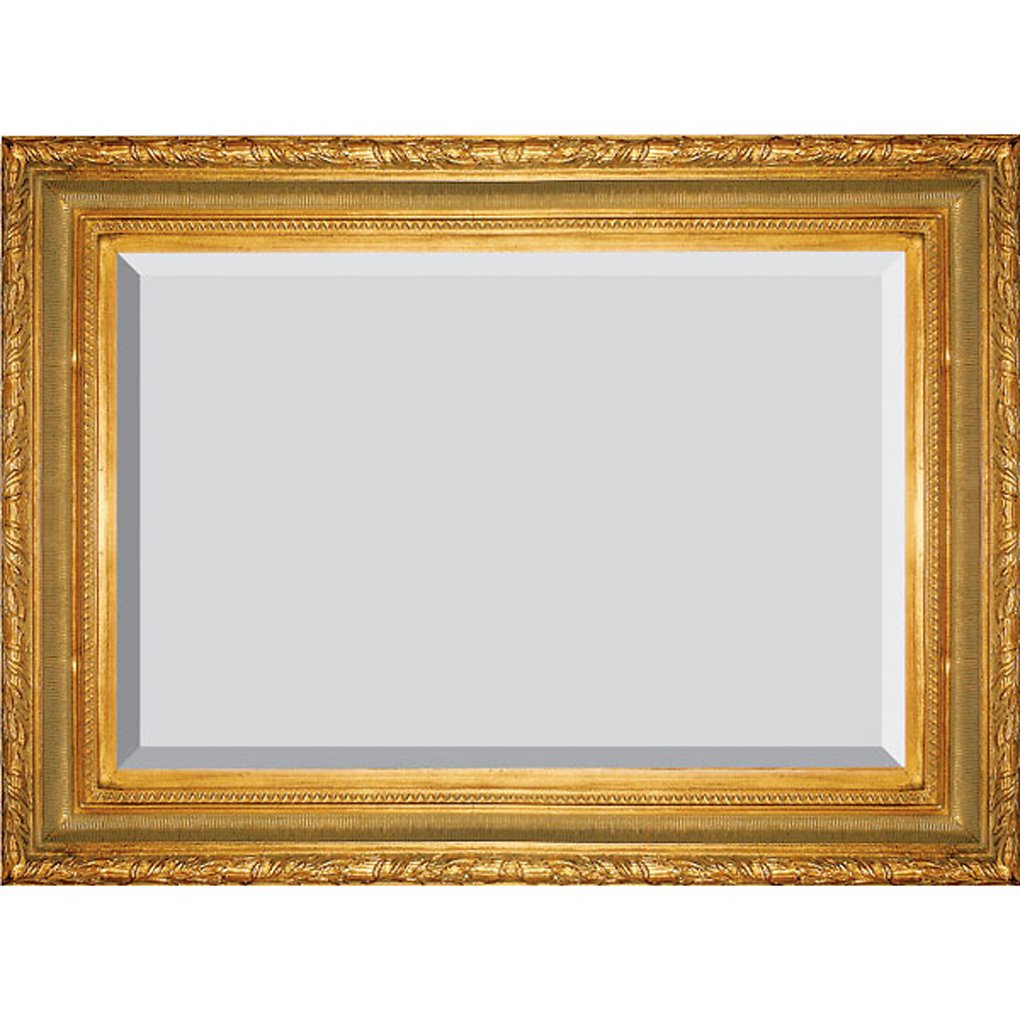 Timeless Reflections By Afd Home 10037000 T Ribbed Foliate Mirror, Large, Antique Gold Finish