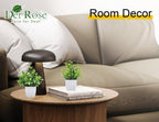 Der Rose 6 Pack Small Fake Plants Artificial Plants In Pots For Home Bthroom Bedroom Living Room Decor Indoor(Green)