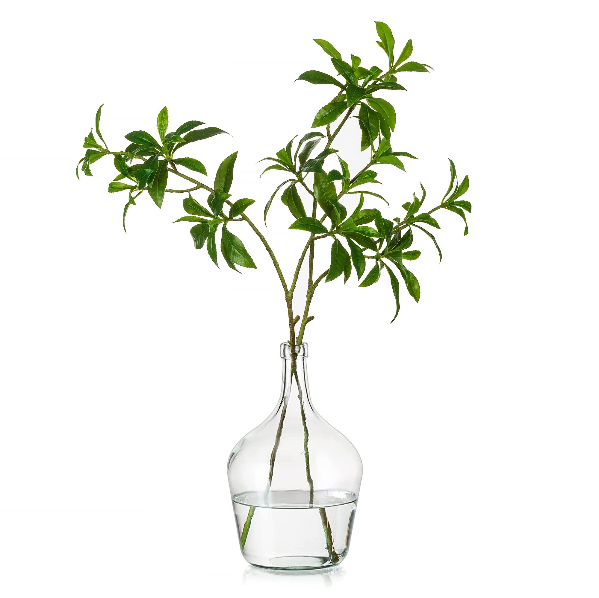 Hewory Large Glass Vase for Decor, 10in Clear Tall Farmhouse Decorative Floor Vase, Round Bubble Balloon Vase Glass Jug Vases fo