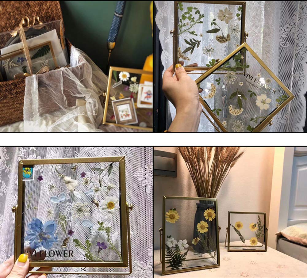 106 Pieces Assorted Real Dried Pressed Flowers Combination Real Dried Pressed Leaves Natural Dry Flowers Leaves For Resin Mold,