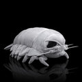 Zhongxin Made Large Isopod Plush - Lifelike 20    Isopod Weigted Stuffed Animal, Realistic Bathynomus Giganteus Arthropod Insect