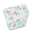 NOREN Japanese Cotton Towel Senshu (Osaka) Towel/Washcloth, Face Towel, Japanese Handkerchief/Made in Japan, 100% Cotton, Quick 