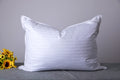 Arcticnorthdown Queen Size Goose Down Feather Hotel Collection Bed Pillows For Sleeping One Pillow For Back, Stomach Or Side Sle