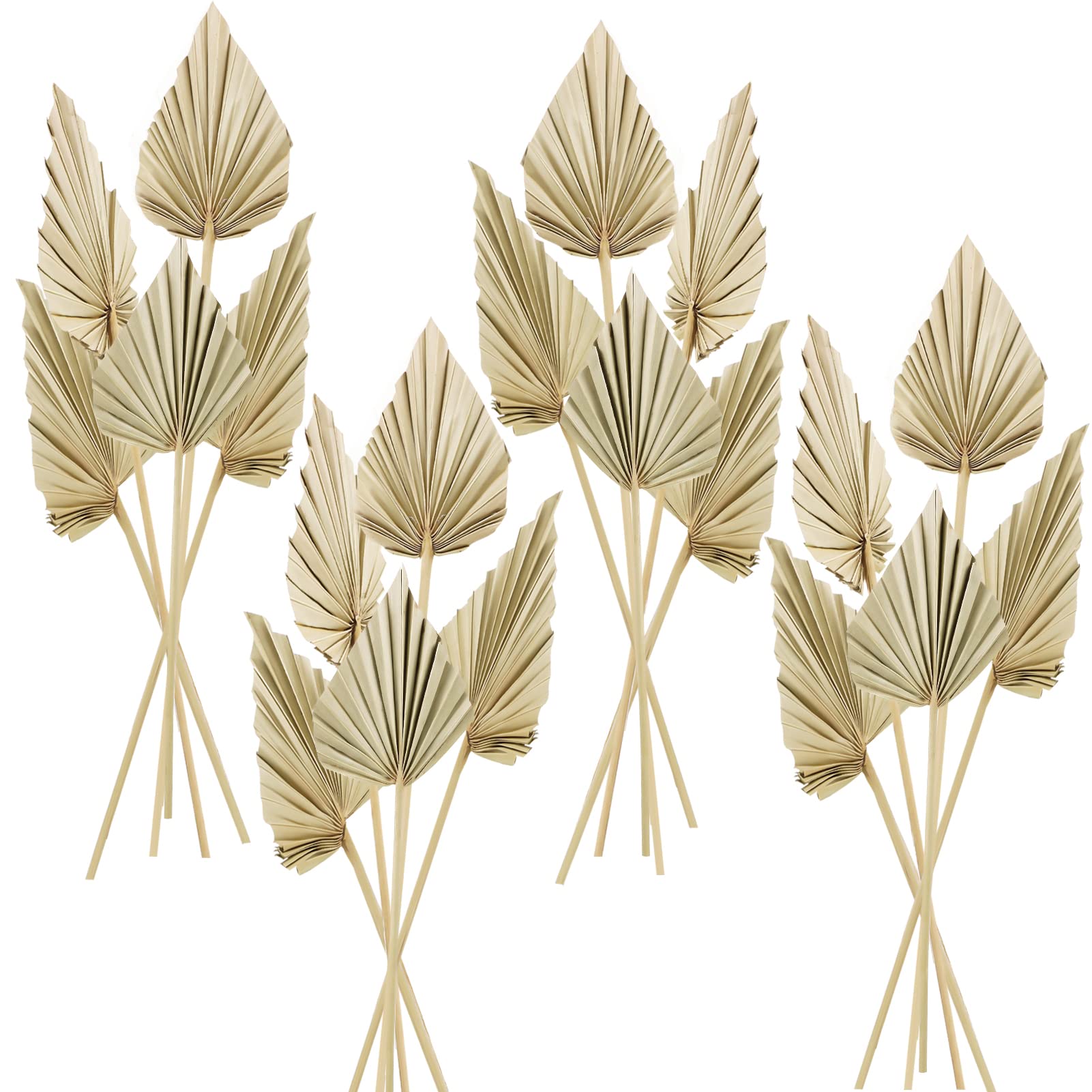 Chenkaiyang 20 Pcs Boho Dried Palm Spears Leaves Bulk, Small Natural Dried Real Palm Fans,Dried Palm Leaves with Stem Dried Leaf