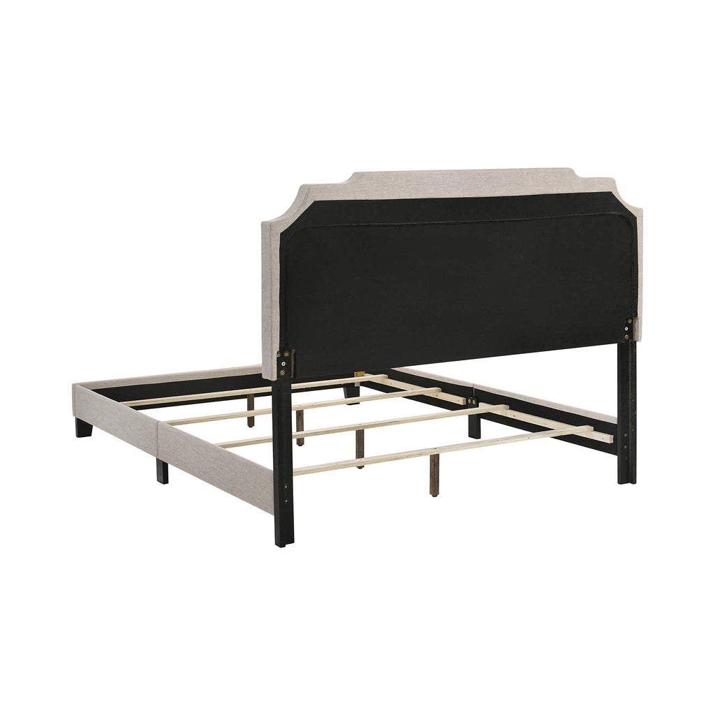 Coaster Furniture Tamarac Modern Upholstered Full Bed Panel Headboard Antique Brass Nailheads Beige Fabric 310061F