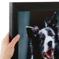 ArtToFrames 8.5x11 Inch Black Picture Frame, This 1.5 Custom Wood Poster Frame is Black Stain on Pine, for Your Art or Photos - 