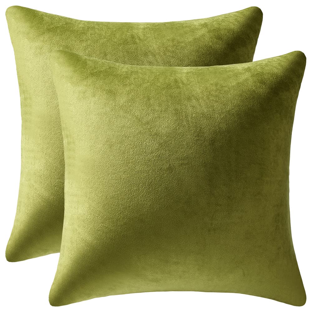 Dezene Couch Pillow Cases 22X22 Chartreuse: 2 Pack Cozy Soft Velvet Square Throw Pillow Covers For Farmhouse Home Decor