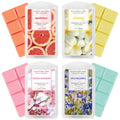 SCENTORINI Wax Melts, Scented Wax Melts Wax Cubes, Soy Wax Melts for Wax Warmer Candle Wax Melt Summer Wax Melts Christmas Decor