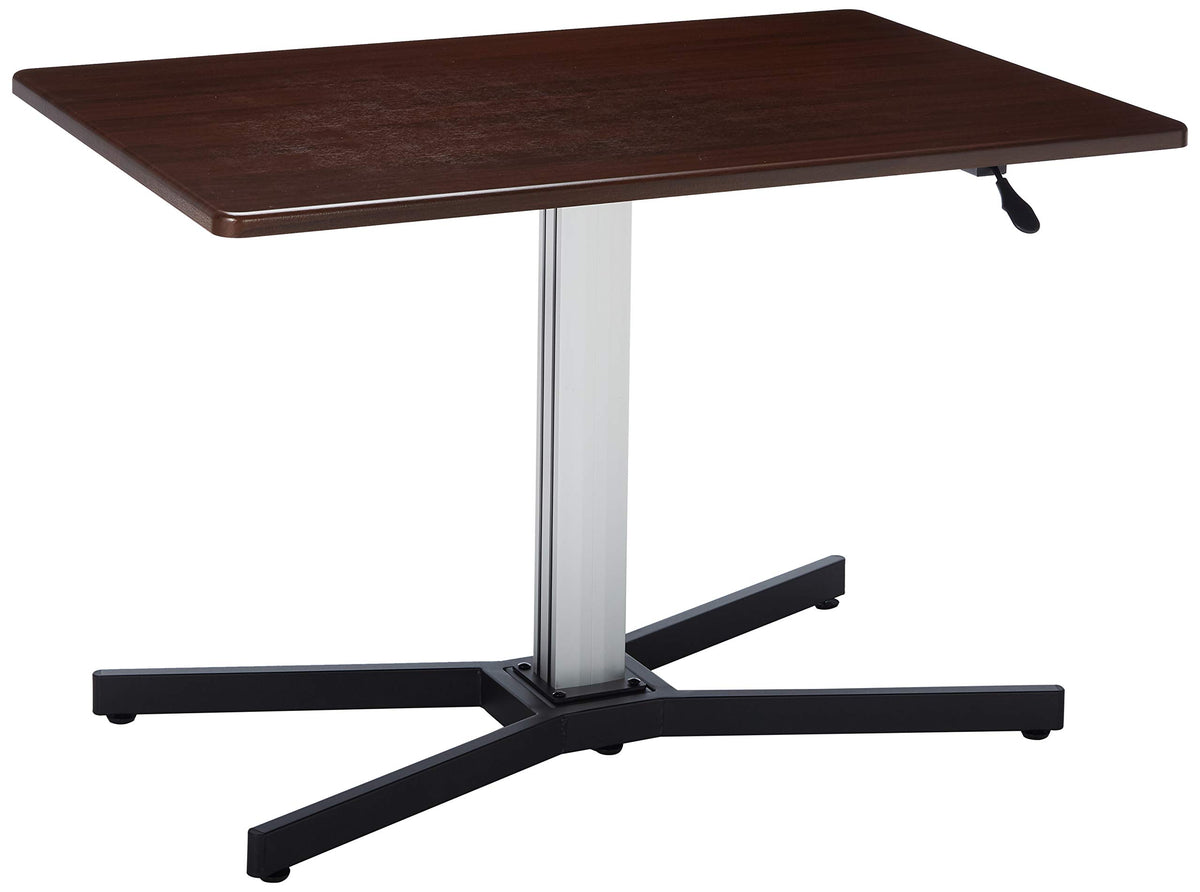 HomeRoots Furniture Desk in Espresso, Multicolor